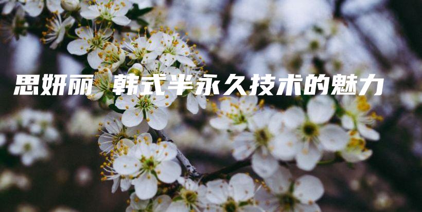 思妍麗 韓式半永久技術(shù)的魅力插圖