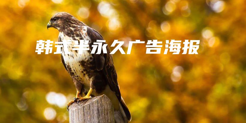 韓式半永久廣告海報(bào)插圖