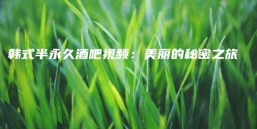 韓式半永久酒吧視頻：美麗的秘密之旅插圖