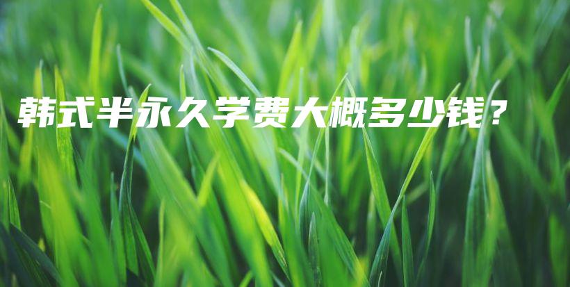 韓式半永久學費大概多少錢？插圖