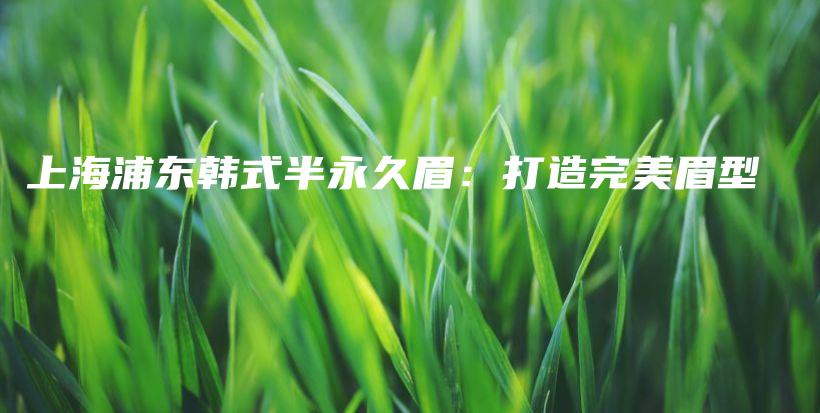 上海浦東韓式半永久眉：打造完美眉型插圖