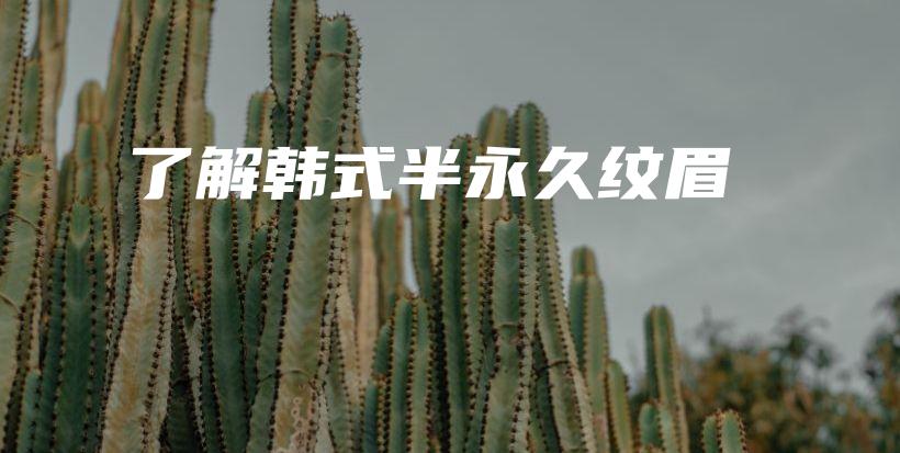 了解韓式半永久紋眉插圖