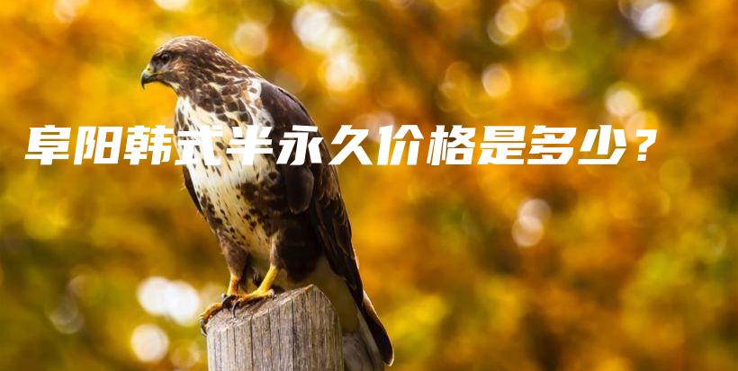 阜陽(yáng)韓式半永久價(jià)格是多少？插圖