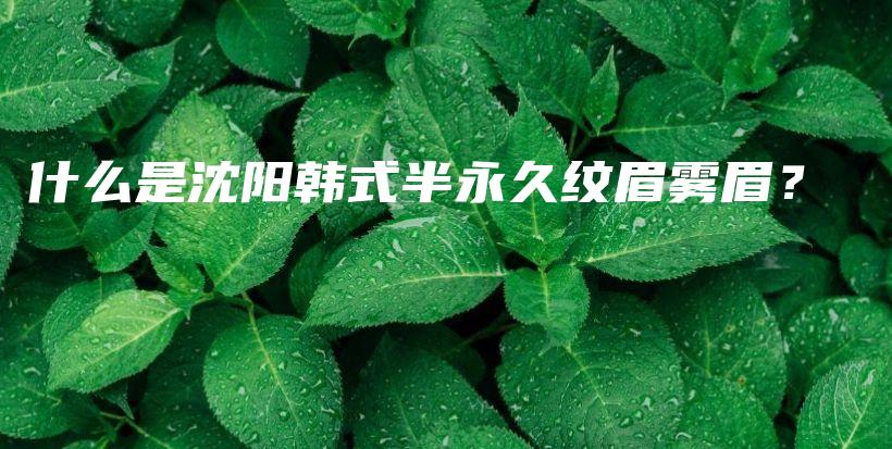 什么是沈陽韓式半永久紋眉霧眉？插圖