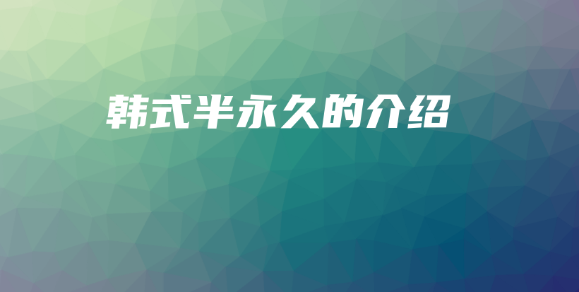 韓式半永久的介紹插圖