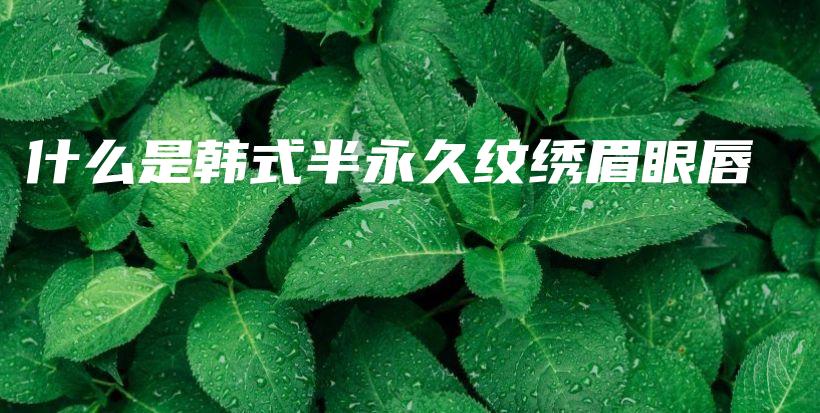 什么是韓式半永久紋繡眉眼唇 – Anne美學(xué)插圖4