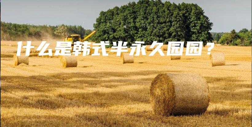 什么是韓式半永久園園？插圖