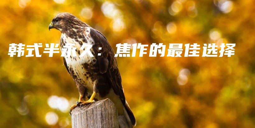 韓式半永久：焦作的最佳選擇插圖