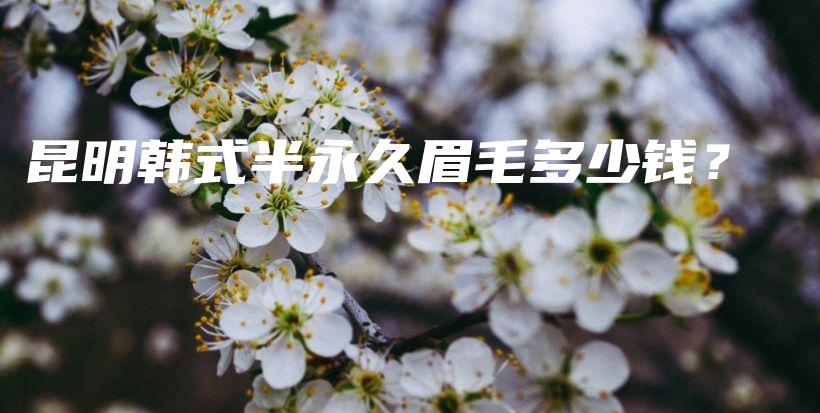 昆明韓式半永久眉毛多少錢？插圖