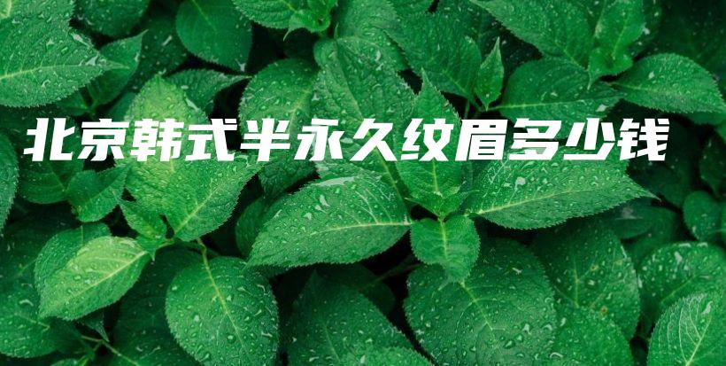 北京韓式半永久紋眉多少錢插圖