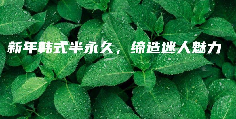 新年韓式半永久，締造迷人魅力插圖