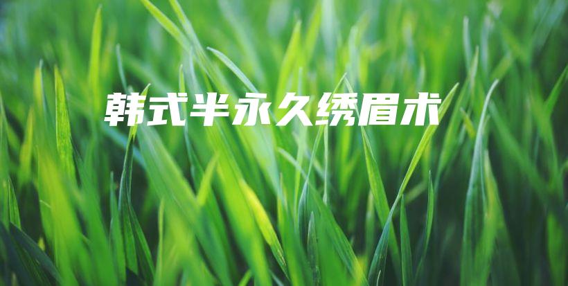 韓式半永久繡眉術插圖
