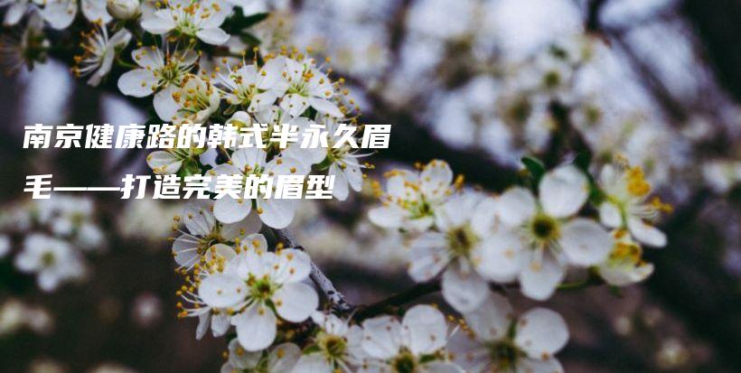 南京健康路的韓式半永久眉毛——打造完美的眉型插圖