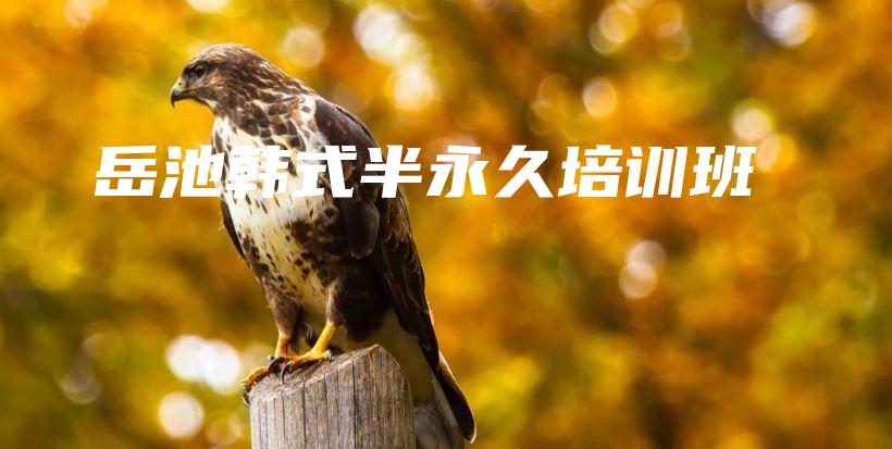 岳池韓式半永久培訓班插圖