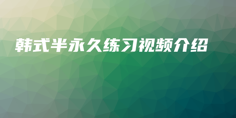 韓式半永久練習(xí)視頻介紹插圖