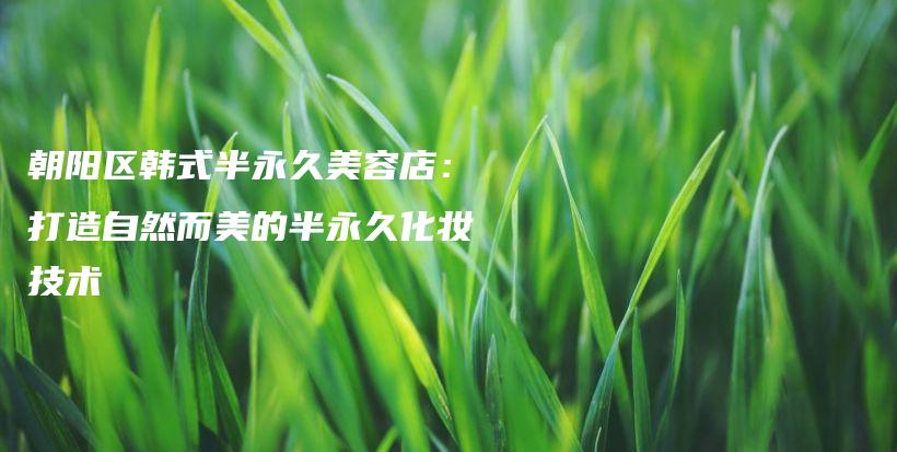 朝陽區(qū)韓式半永久美容店：打造自然而美的半永久化妝技術(shù)插圖