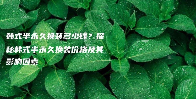 韓式半永久換裝多少錢？探秘韓式半永久換裝價格及其影響因素插圖