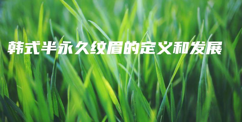韓式半永久紋眉的定義和發(fā)展插圖