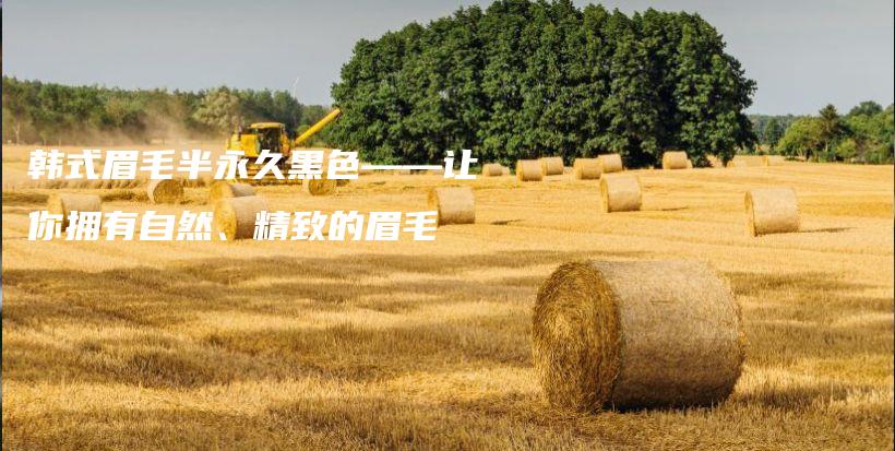 韓式眉毛半永久黑色——讓你擁有自然、精致的眉毛插圖