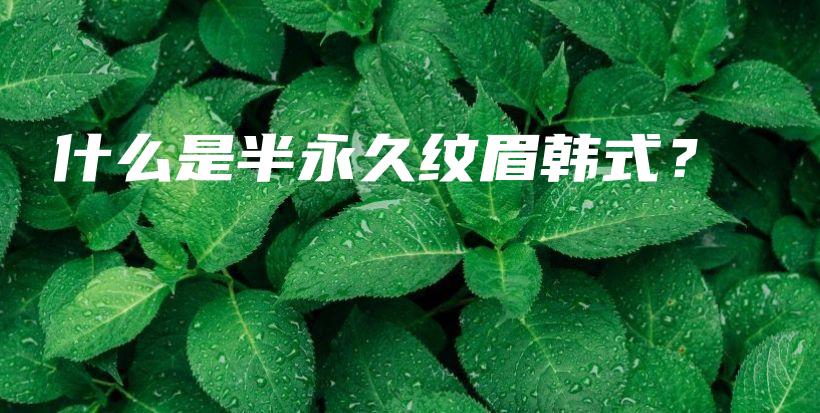 什么是半永久紋眉韓式？插圖