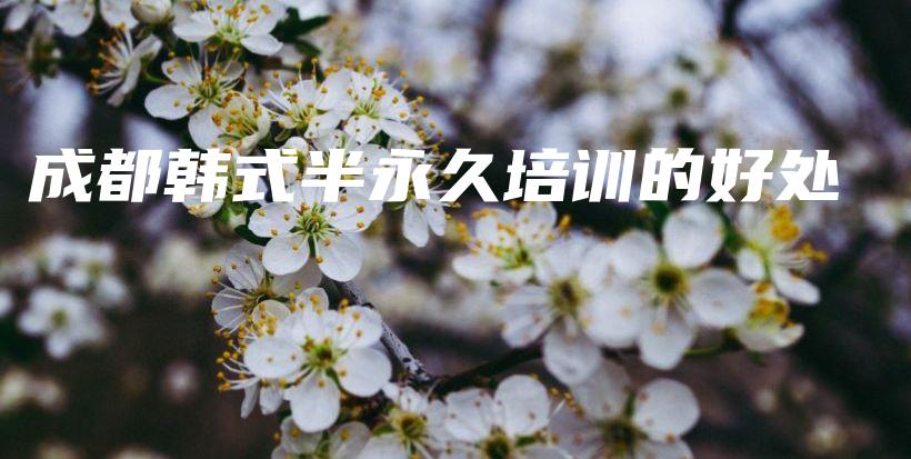 成都韓式半永久培訓(xùn)的好處插圖