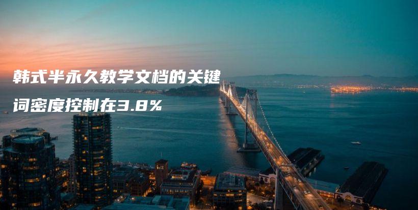 韓式半永久教學(xué)文檔的關(guān)鍵詞密度控制在3.8%插圖