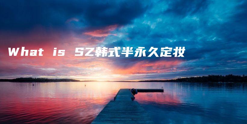What is SZ韓式半永久定妝插圖
