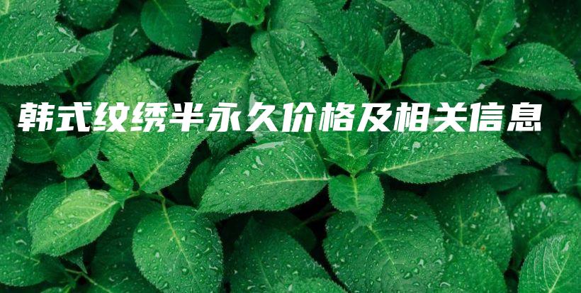 韓式紋繡半永久價(jià)格及相關(guān)信息插圖