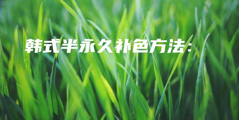 韓式半永久補(bǔ)色方法：插圖