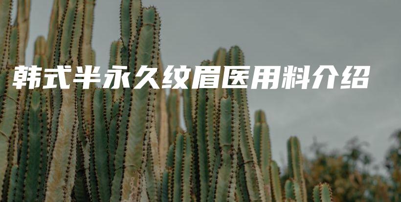 韓式半永久紋眉醫(yī)用料介紹插圖