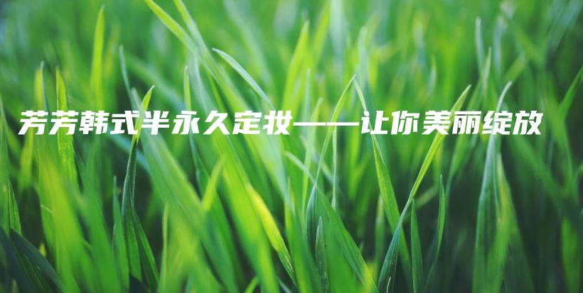 芳芳韓式半永久定妝——讓你美麗綻放插圖