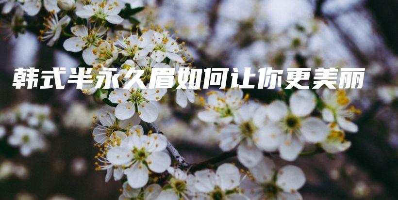 韓式半永久眉如何讓你更美麗插圖