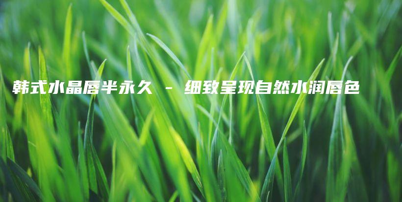 韓式水晶唇半永久 – 細(xì)致呈現(xiàn)自然水潤唇色插圖