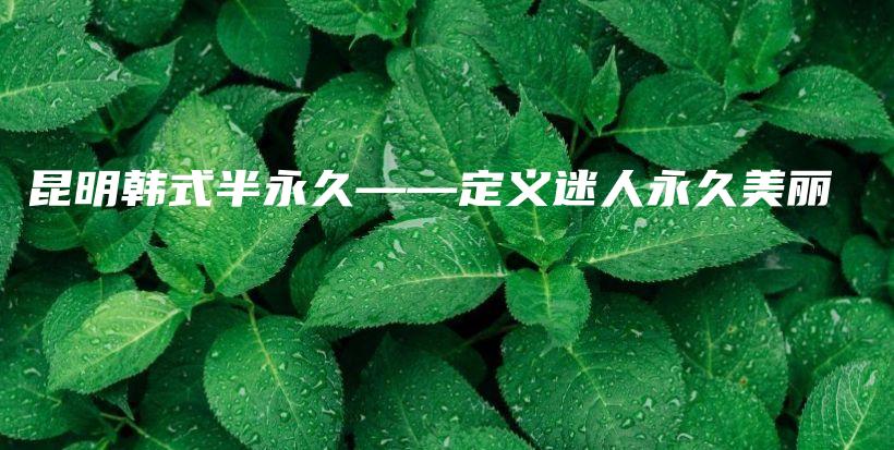 昆明韓式半永久——定義迷人永久美麗插圖