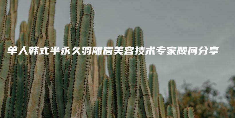 單人韓式半永久羽雕眉美容技術(shù)專家顧問分享插圖