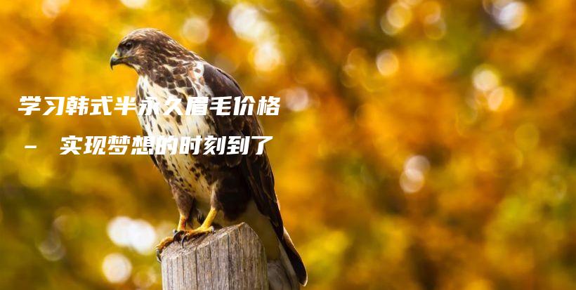 學習韓式半永久眉毛價格 – 實現(xiàn)夢想的時刻到了插圖