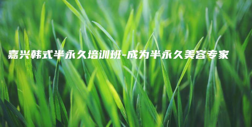 嘉興韓式半永久培訓(xùn)班-成為半永久美容專家插圖