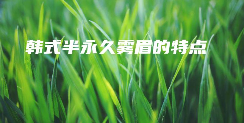 韓式半永久霧眉的特點(diǎn)插圖