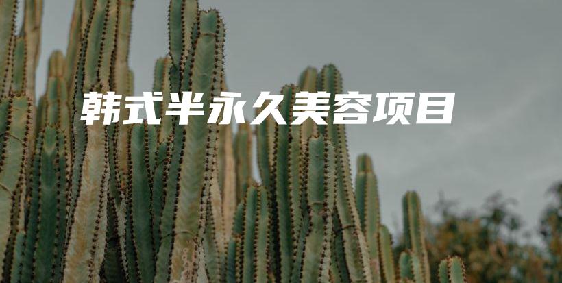 韓式半永久美容項(xiàng)目插圖