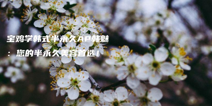 寶雞學(xué)韓式半永久AP韓魅：您的半永久美容首選！插圖