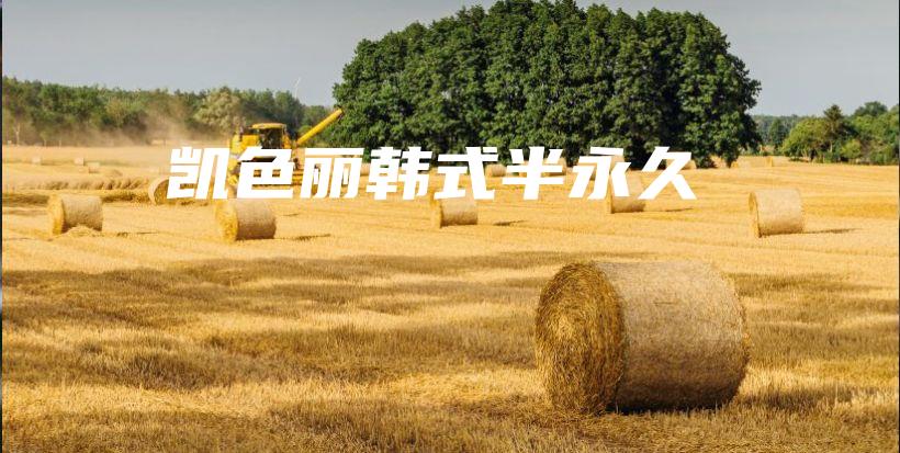 凱色麗韓式半永久插圖