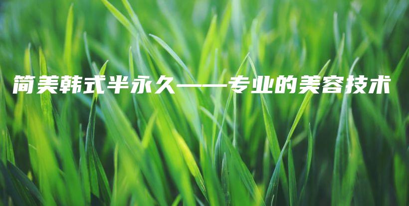 簡美韓式半永久——專業(yè)的美容技術(shù)插圖