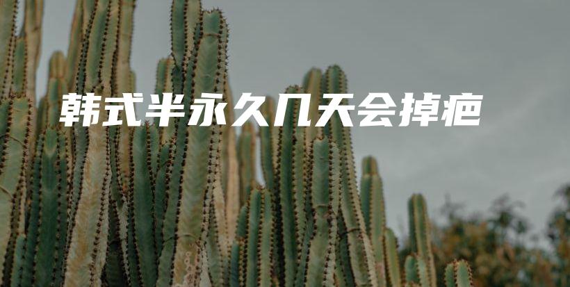 韓式半永久幾天會掉疤插圖