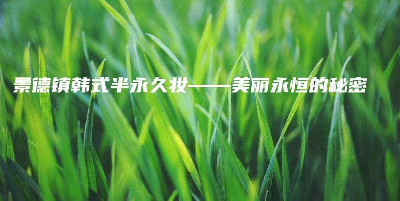景德鎮(zhèn)韓式半永久妝——美麗永恒的秘密插圖