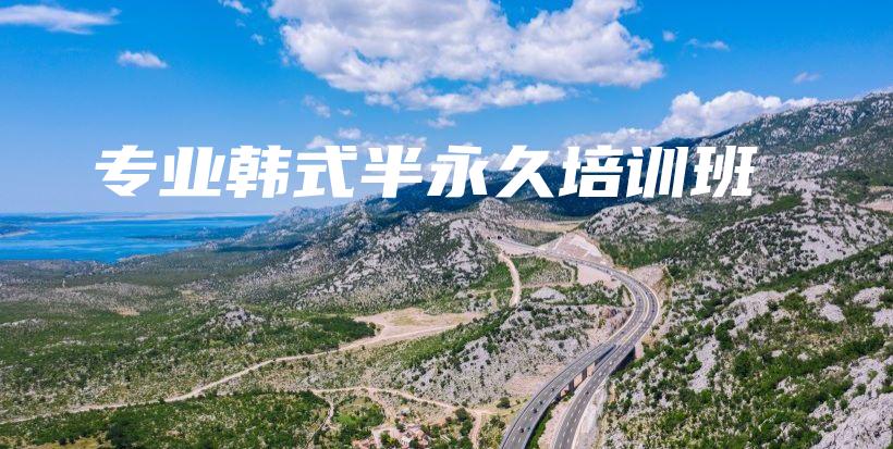 專業(yè)韓式半永久培訓(xùn)班插圖