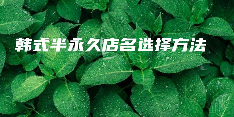 韓式半永久店名選擇方法插圖