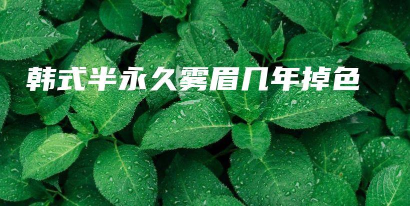 韓式半永久霧眉幾年掉色插圖