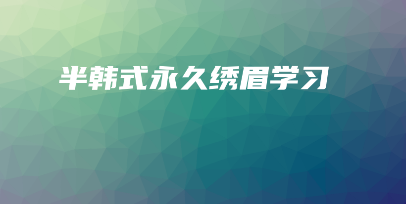半韓式永久繡眉學(xué)習(xí)插圖