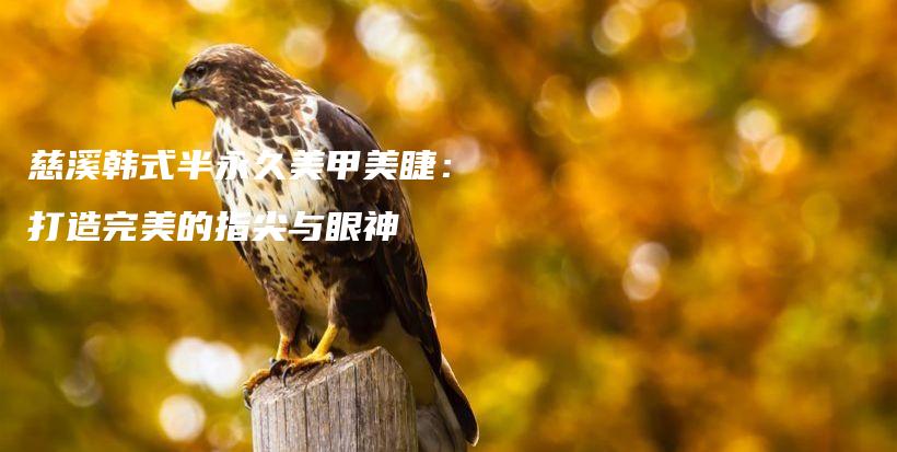 慈溪韓式半永久美甲美睫：打造完美的指尖與眼神插圖