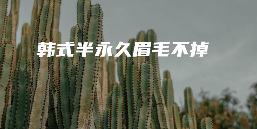 韓式半永久眉毛不掉插圖